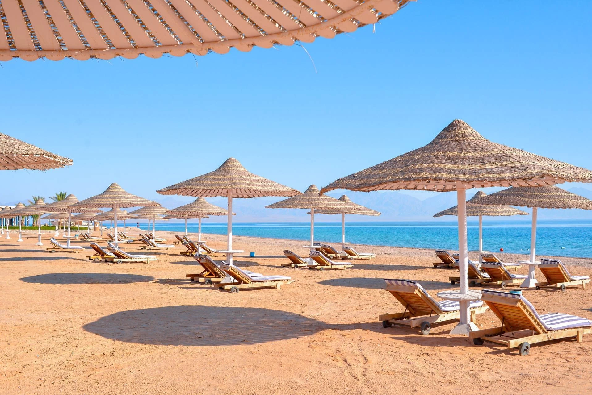 منتجع تايم كورال نويبع