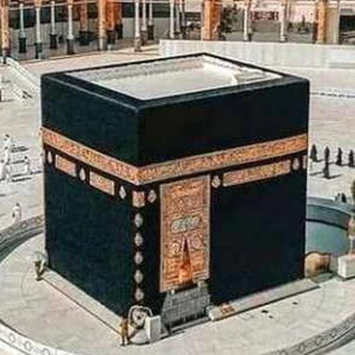 عمره المولد النبوى الشريف 1448هـ-2026م  ( 15 يوم ) اقتصادى