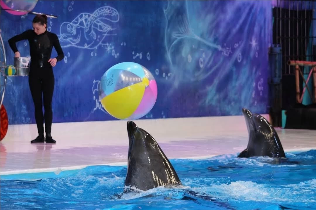 رحلة دبي 5 أيام