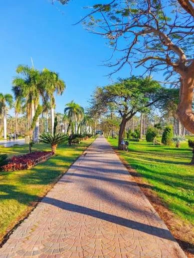 جولة كورنيش الإسكندرية وحدائق المنتزه
