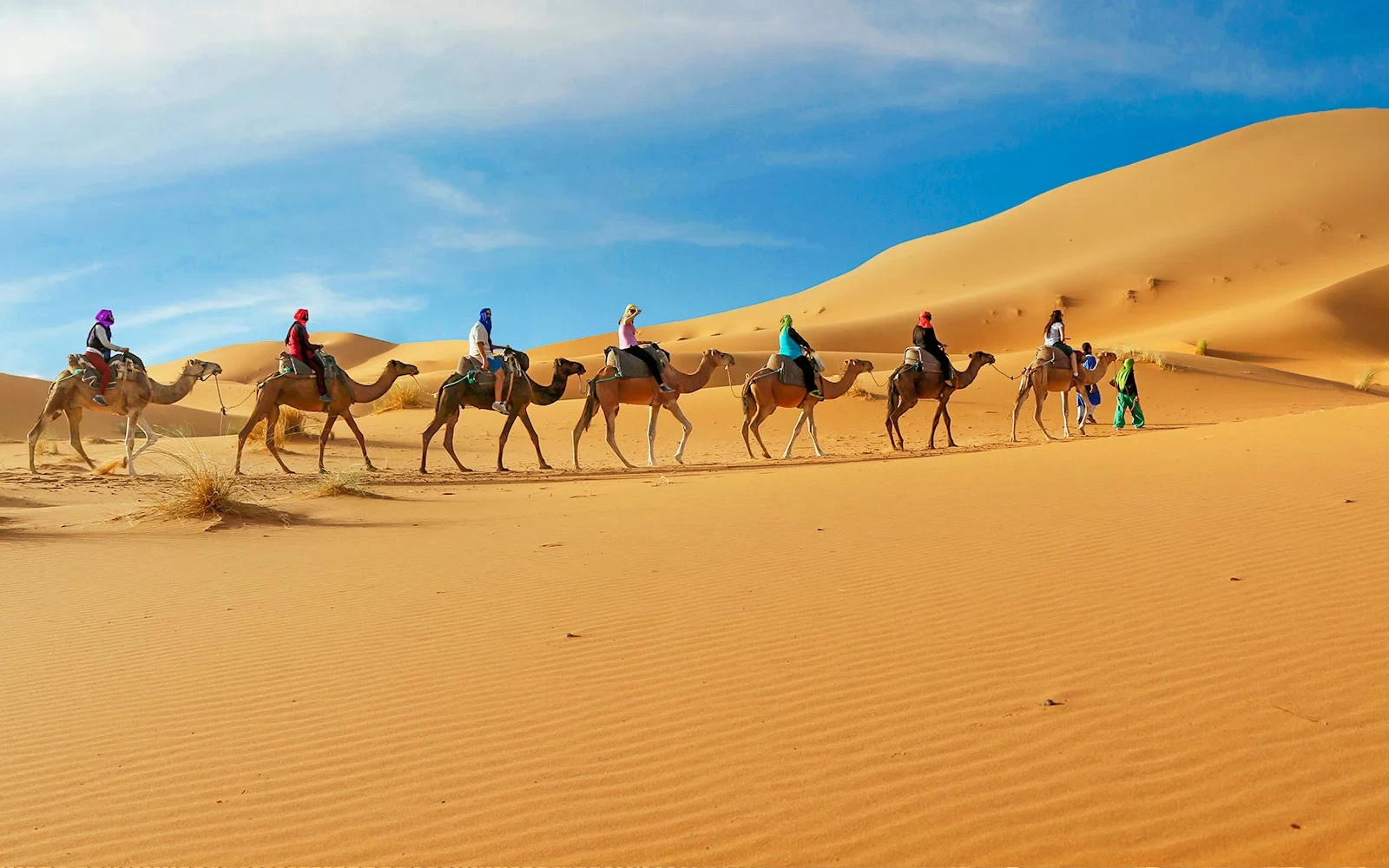 سفاري الصحراء والتزلج على الرمال