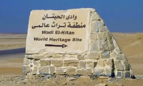 سفاري وادي الحيتان