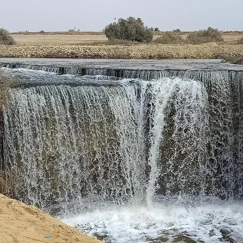 سفاري وادي الحيتان