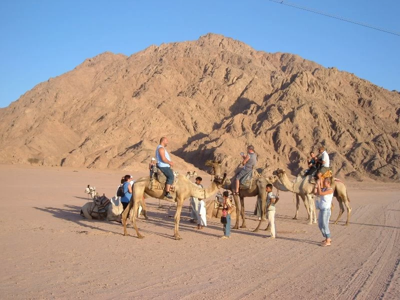 سفاري الصحراء والعشاء البدوي