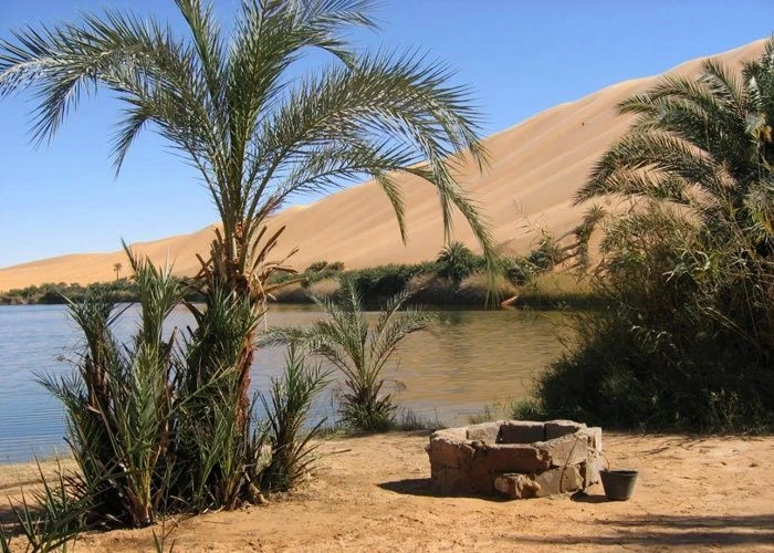 الفيوم
