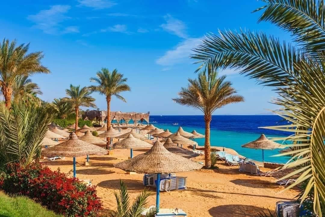 إيكوتيل دهب باى فيو ريزورت